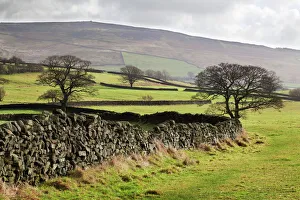 Yorkshire Prints: Beamsley Beacon from Storiths, North Yorkshire, Yorkshire, England, United Kingdom, Europe
