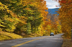 Rural Roads Prints: Bear Notch Road, White Mountains National Forest
