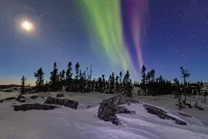Northern Prints: Beautiful aurora borealis lights up the night sky above a forest next to a frozen lake in Northwest Territories