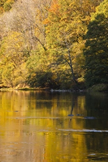 Limousin Prints: Beautiful autumn colours reflecting in the River Creuse