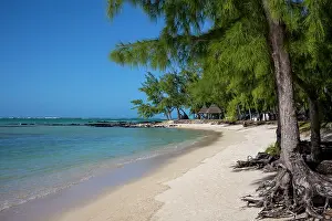 Wanderlust Prints: Beautiful beach and calm, clear water at Ile aux Cerfs on the exotic island of Mauritius in the Indian Ocean
