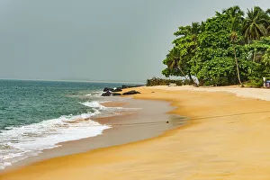 Arecaceae Prints: Beautiful beach in Robertsport, Liberia, West Africa, Africa
