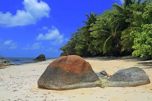 Retreat Prints: Beautiful beach with rocks and palm trees under blue sky in Seychelles