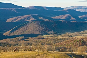 Images Dated 6th November 2008: Beautiful foliage in the Indian summer, Allegheny Mountains, West Virginia