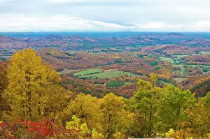 Images Dated 4th November 2008: Beautiful foliage in the Indian summer, Blue Ridge Mountain Parkway, North Carolina