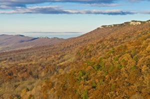 Images Dated 6th November 2008: Beautiful foliage in the Indian summer, Allegheny Mountains, West Virginia