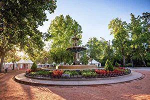 Public Space Prints: Beautiful fountain with flowers and lush green trees