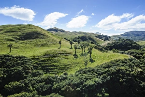 Beautiful green scenery behind Wharariki Beach, South Island, New Zealand, Pacific