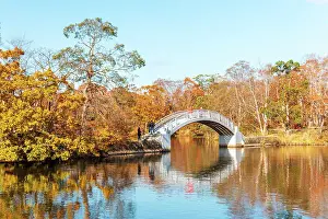 Hokkaido Prints: Beautiful Hakamagoshi Bridge on Lake Onuma on a vibrant autumn day, Hokkaido, Japan, Asia