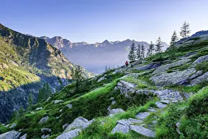 Panoramas Prints: Beautiful idyllic hiking trail in the early morning sun light with mountain chain in the background