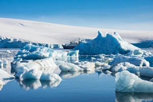 Floating On Water Prints: Beautiful little icebergs, Hope Bay, Antarctica, Polar Regions