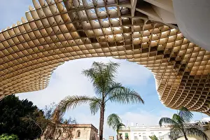 Parasol Prints: Beautiful modern architecture of the Setas de Sevilla parasol with a palm tree