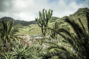 Ecosystems Prints: Beautiful mountain scenery with plants and houses in Madeira Portugal during daylight hours
