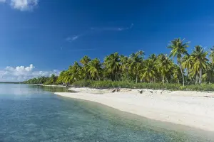 Beautiful palm fringed white sand beach in the turquoise waters of Tikehau, Tuamotus