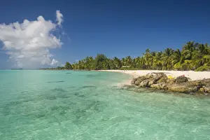 Beautiful palm fringed white sand beach in the turquoise waters of Tikehau, Tuamotus