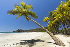 Nicoya Peninsula Prints: Beautiful palm fringed, white sand Playa Carrillo