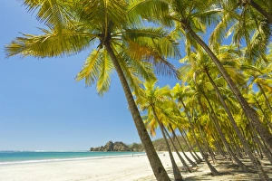 Nicoya Peninsula Prints: Beautiful palm fringed white sand Playa Carrillo