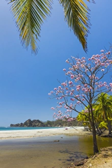 Beautiful palm fringed white sand Playa Carrillo, Carrillo, near Samara, Guanacaste Province, Nicoya Peninsula, Costa Rica, Central America