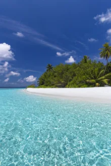 Beautiful sandy beach, lagoon and palm trees, The Maldives, Indian Ocean, Asia