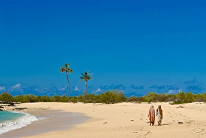 View From Behind Prints: Beautiful sandy beach at Ngazidja, Grand Comore, Comoros, Indian Ocean, Africa