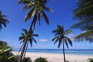 Images Dated 4th August 2007: Beautiful sandy beach and palms at Ngazidja, Grand Comore, Comoros, Indian Ocean, Africa