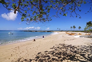 Images Dated 4th August 2007: Beautiful sandy beach and palms at Ngazidja, Grand Comore, Comoros, Indian Ocean, Africa