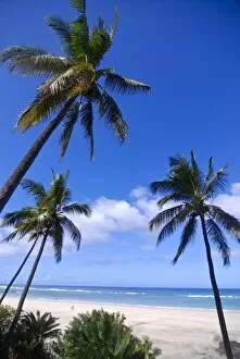 Images Dated 4th August 2007: Beautiful sandy beach and palms at Ngazidja, Grand Comore, Comoros, Indian Ocean, Africa