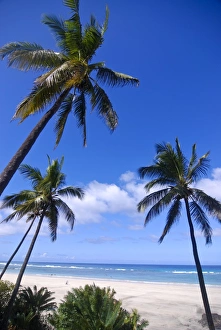 Images Dated 4th August 2007: Beautiful sandy beach and palms at Ngazidja, Grand Comore, Comoros, Indian Ocean, Africa