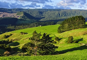 Northland Prints: Beautiful scenery in the hinterland of Northland, North Island, New Zealand, Pacific