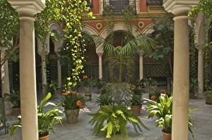 Images Dated 14th April 2010: Beautiful Sevillan patio, Triana district, Sevilla, Andalusia, Spain, Europe