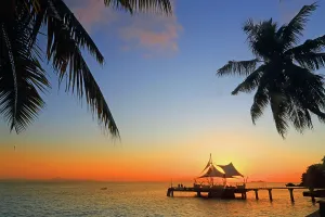 Fisherman Prints: Beautiful sunset over the ocean near Coco de Mer hotel in Seychelles with silhouettes of palm trees and a wooden pier