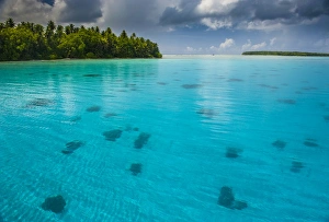 Pohnpei Prints: Beautiful turquoise water in the Ant Atoll, Pohnpei, Micronesia, Pacific