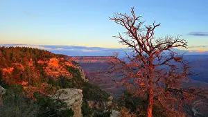 Vistas Prints: Beautiful view of the Grand Canyon at sunset in Arizona with trees and rocky cliffs visible