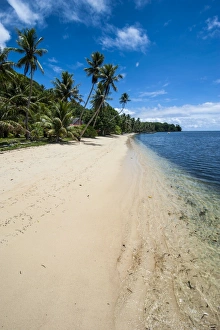 Beautiful white sand beach and palm trees on the island of Yap, Federated States of Micronesia, Caroline Islands, Pacific