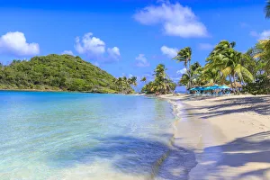 Windward Islands Prints: Beautiful white sand beach, turquoise sea, palm trees, Saltwhistle Bay, Mayreau