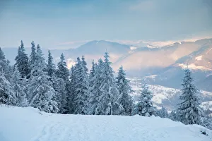 Transylvania Prints: Beautiful winter landscape in Vladeasa mountains, Transylvania, Romania, Europe