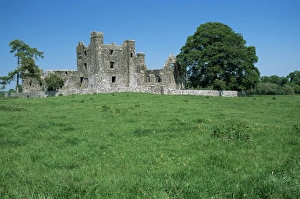 Co Meath Prints: Bective Abbey