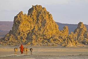 Bedouin bringing their donkeys home in the stunning landscape of Lac Abbe