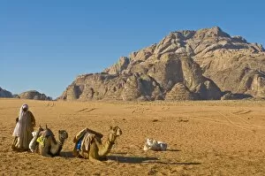 Images Dated 5th November 2009: Bedouin with his camels in the stunning scenery of Wadi Rum, Jordan, Middle East