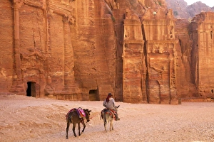 Working Animals Prints: Bedouin with donkeys in front of the Outer Siq