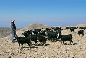 One Man Only Prints: Bedouin goat herder