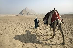 A Bedouin guide and camel approaching the Pyramids of Giza, UNESCO World Heritage Site, Cairo, Egypt, North Africa