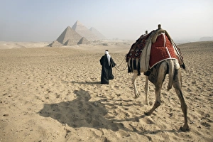 A Bedouin guide and camel approaching the Pyramids of Giza, UNESCO World Heritage Site, Cairo, Egypt, North Africa