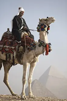 A Bedouin guide on camel-back overlooking the Pyramids of Giza, UNESCO World Heritage Site