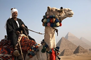A Bedouin guide with his camel, overlooking the Pyramids of Giza, Cairo