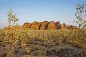 Images Dated 4th October 2008: The beehive-like mounds, Purnululu National Park, UNESCO World Heritage Site
