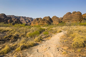 Images Dated 4th October 2008: The beehive-like mounds in the Purnululu National Park, UNESCO World Heritage Site