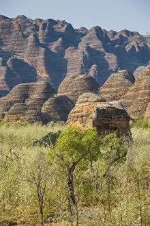 Images Dated 4th October 2008: The beehive-like mounds in the Purnululu National Park, UNESCO World Heritage Site