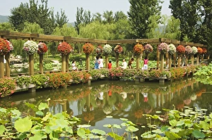Botanical Garden Prints: Beijing Botanical Gardens, Beijing, China, Asia