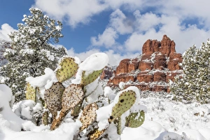Sedona Prints: Bell Rock after a snow storm near Sedona, Arizona, United States of America, North